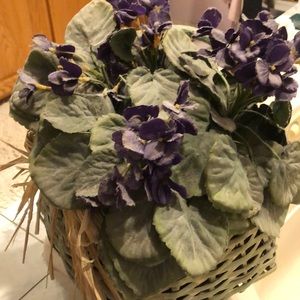 Meet your Posher, Janelle